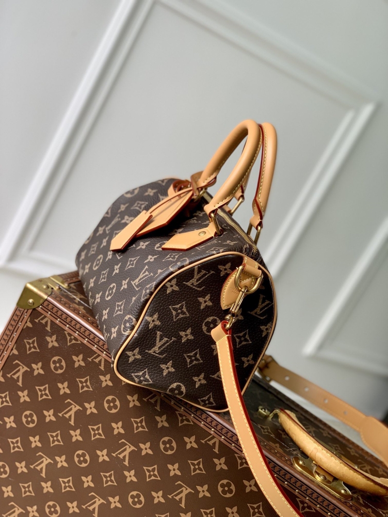LV Travel Bags